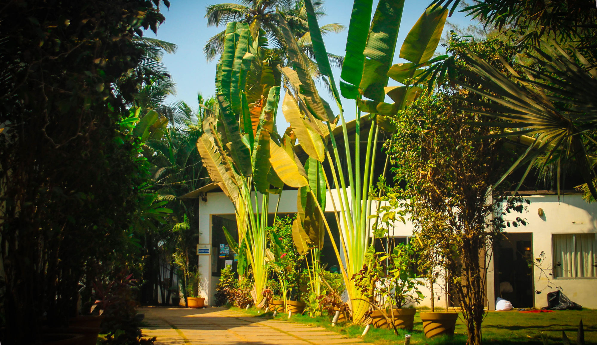 Rococco Ashvem Otel Mandrem Dış mekan fotoğraf